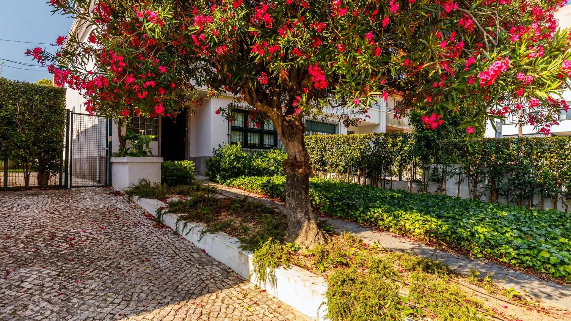 Casa Da Laurentina - Lisbon Charm & Garden Holiday home